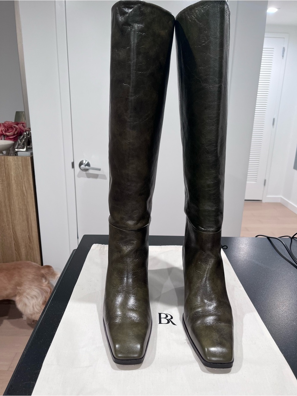 Banana Republic Dark Olive Green Leather Over-the-Knee Riding Boots